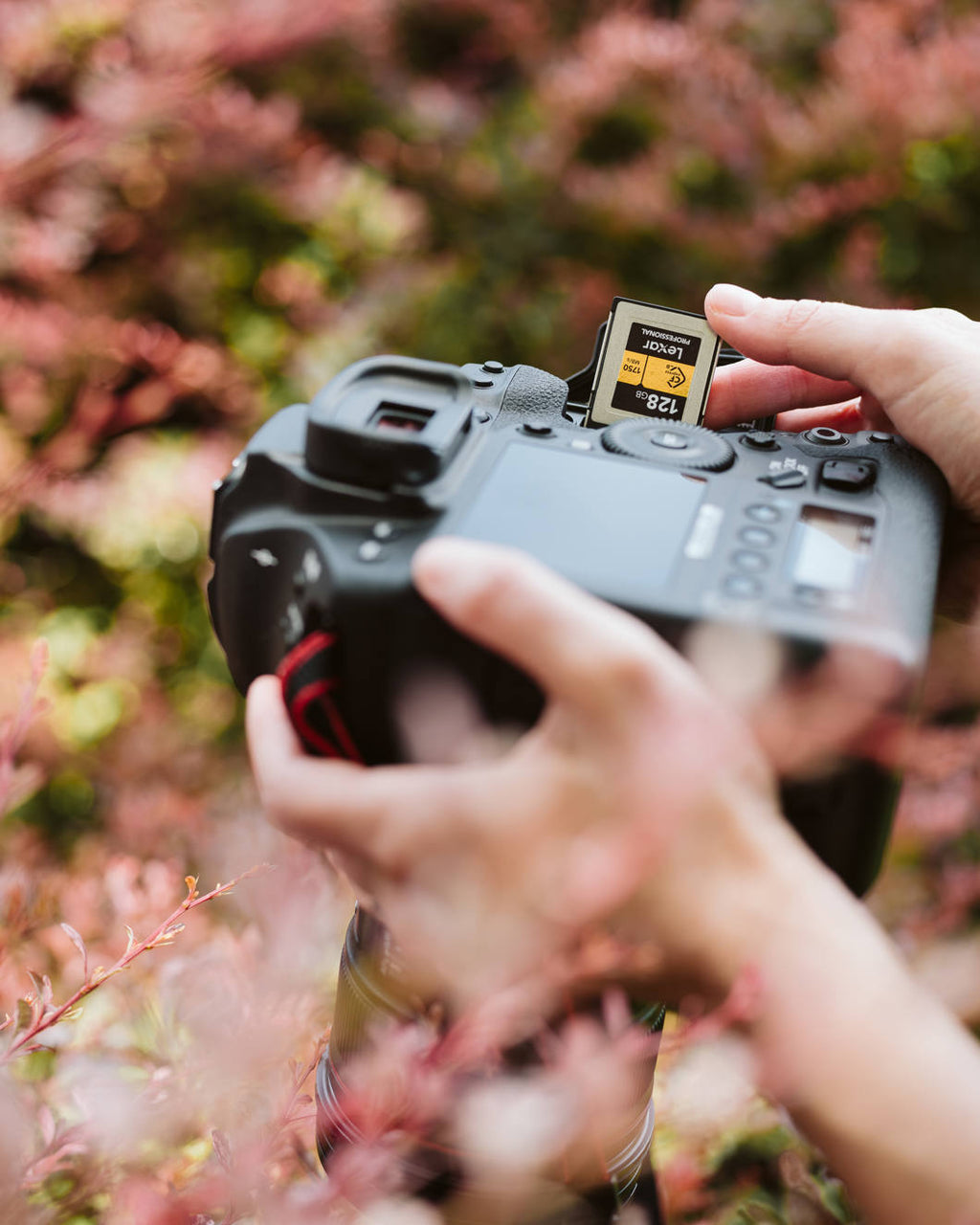 Lexar CFexpress Pro Gold memory card with R1750/W1500 speed ratings, shown in close-up with a black background.