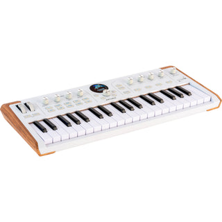Performance Keyboards / Pianos