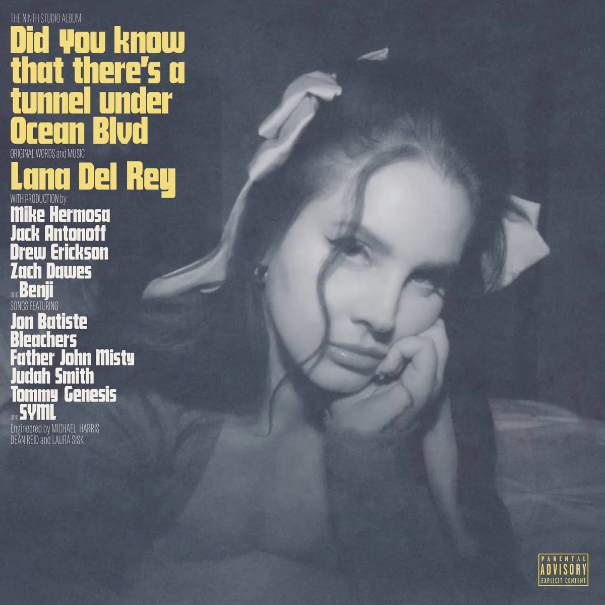 Black vinyl 2LP of Lana Del Rey's "Did You Know That There's a Tunnel Under Ocean Blvd" album by Polydor Records.