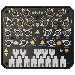 Animal Factory Amplification Asura, top view of the control panel