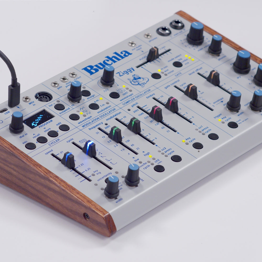 Buchla Ziggy desktop synthesizer