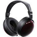 FiiO FT13 wired headphones with in-ear design and black finish, featuring inline controls and a sleek, portable look.