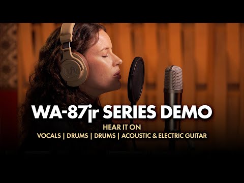 Warm Audio WA-87jr