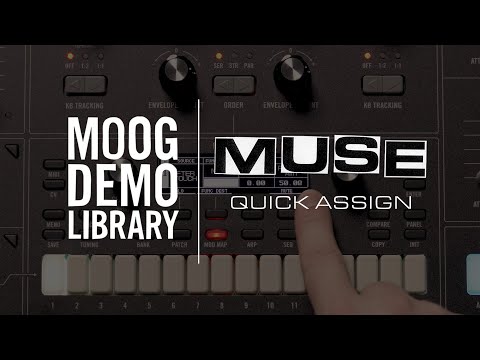 Moog Muse