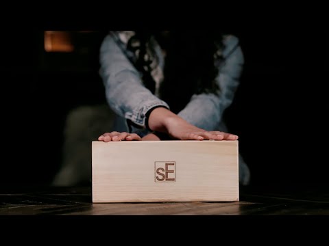 sE Electronics VR2