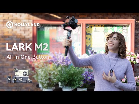 Hollyland Lark M2 (USB-C)