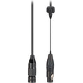 Rode PG2-R Pro XLR to XLR cable showing durable black cable and connectors for professional audio connections.