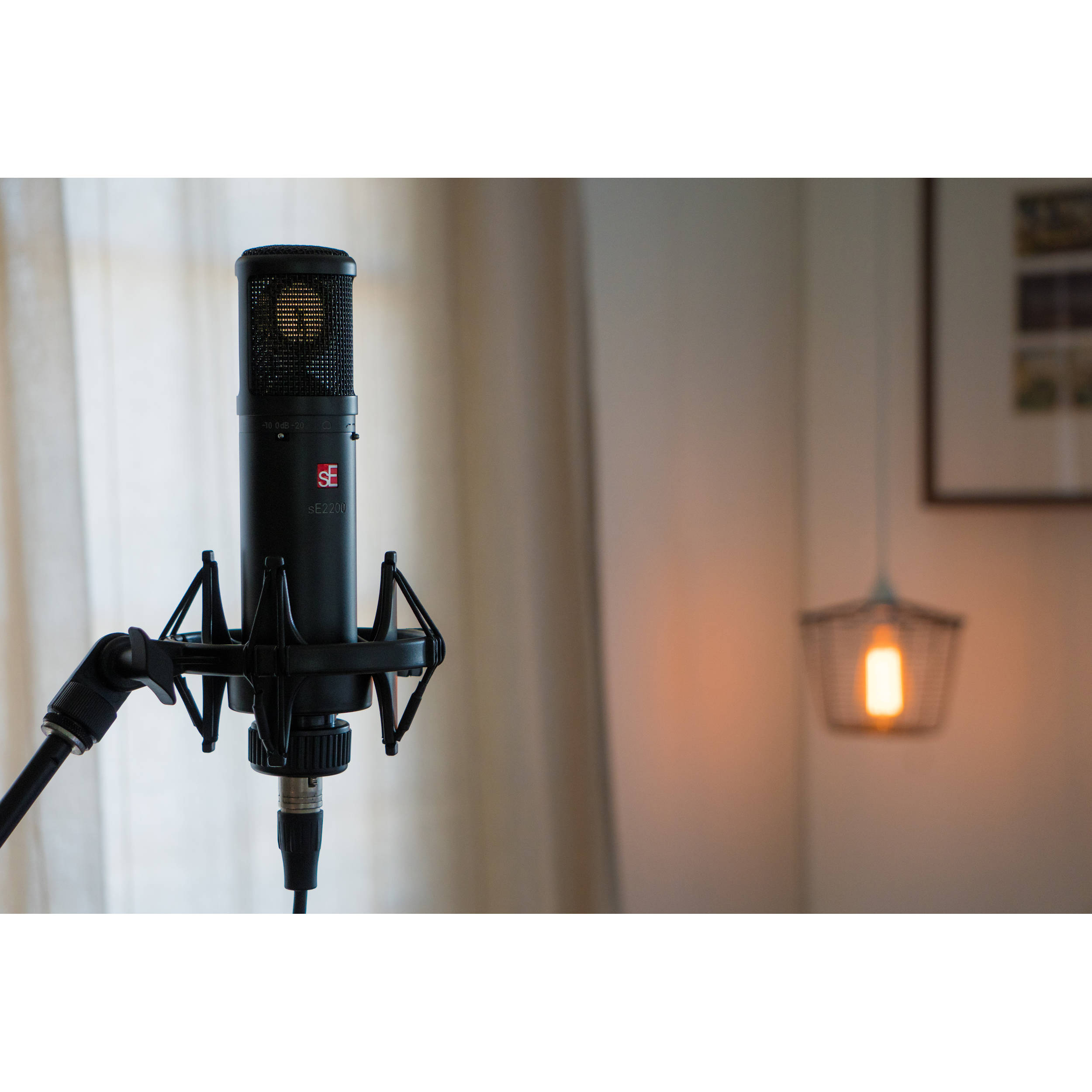 sE Electronics sE2200 condenser microphone, gold view