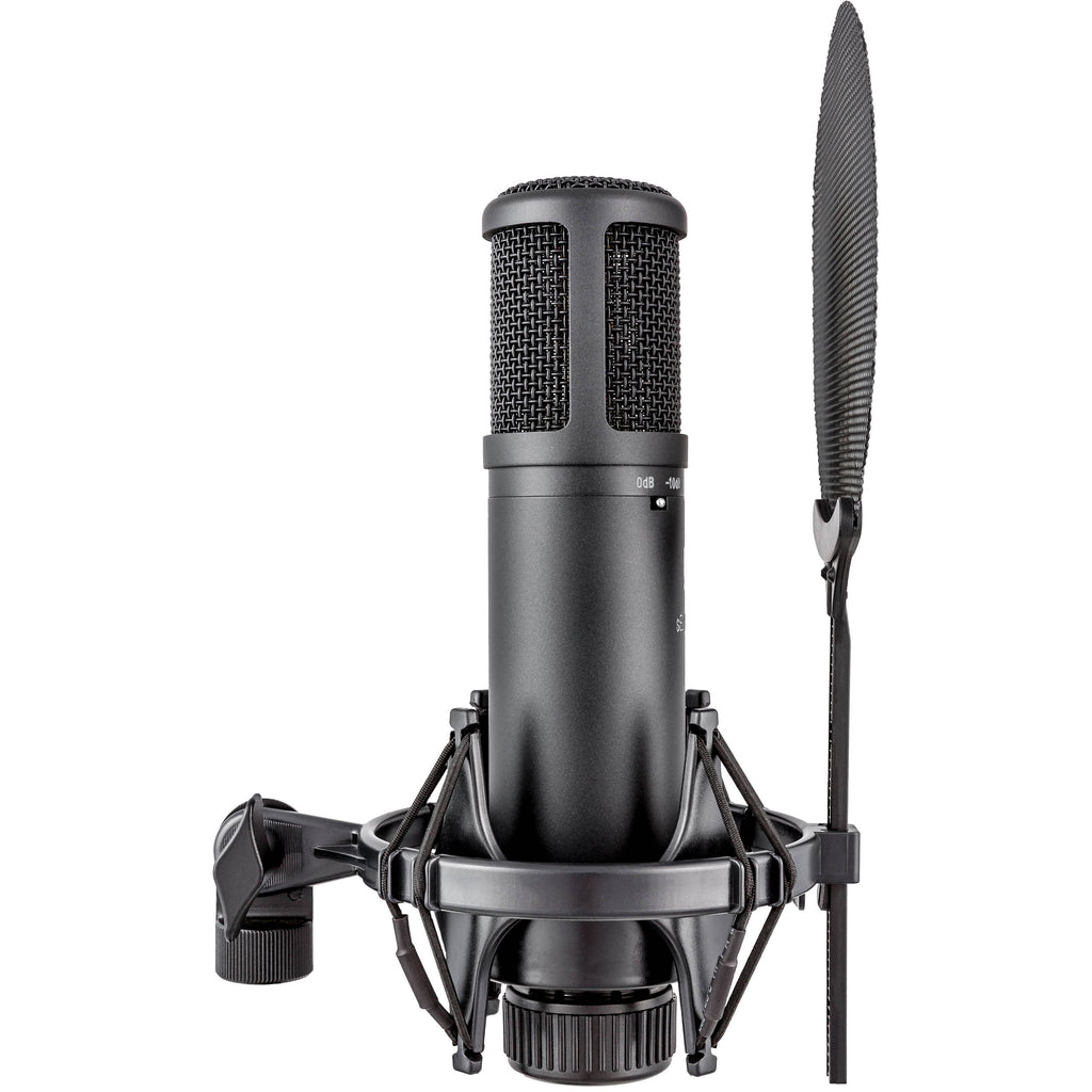 sE Electronics sE2200 condenser microphone, alternate view 4