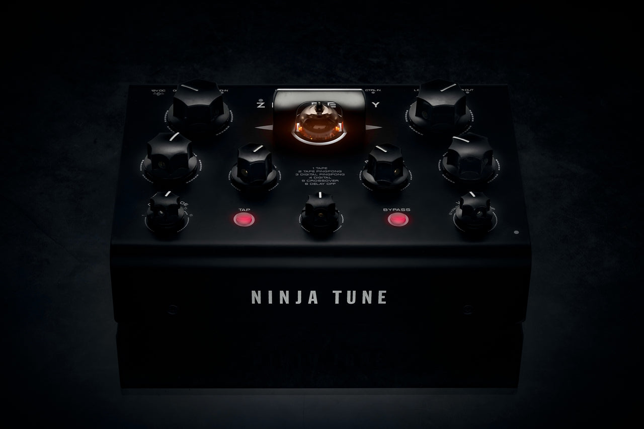 Erica Synths Zen Delay effects pedal with multiple knobs and input/output jacks, designed for guitar and audio processing.